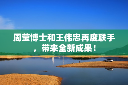 周莹博士和王伟忠再度联手，带来全新成果！