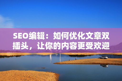 SEO编辑：如何优化文章双插头，让你的内容更受欢迎？