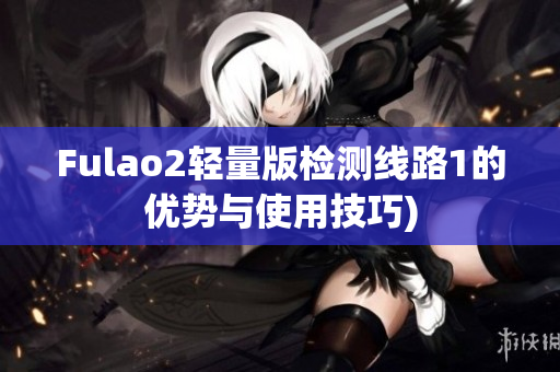 Fulao2轻量版检测线路1的优势与使用技巧)
