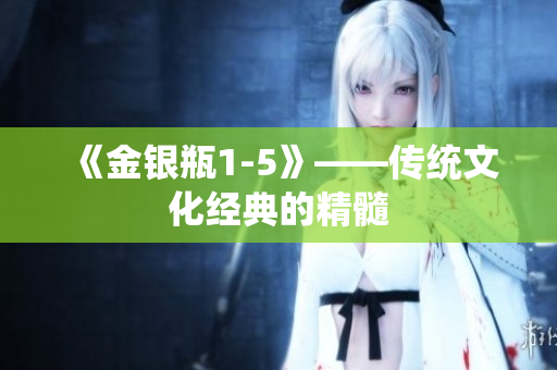 《金银瓶1-5》——传统文化经典的精髓
