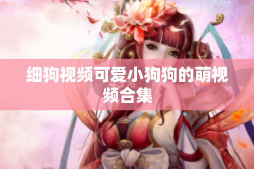 细狗视频可爱小狗狗的萌视频合集