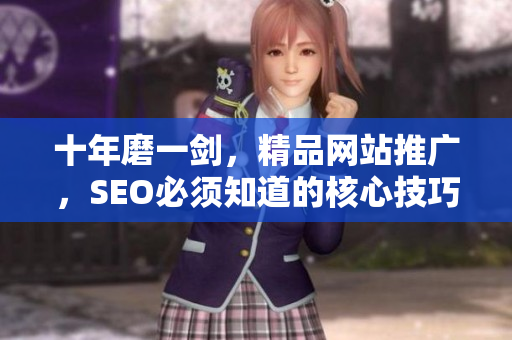 十年磨一剑，精品网站推广，SEO必须知道的核心技巧