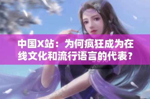 中国X站：为何疯狂成为在线文化和流行语言的代表？