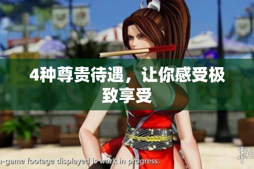 4种尊贵待遇，让你感受极致享受