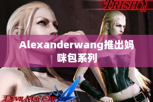 Alexanderwang推出妈咪包系列