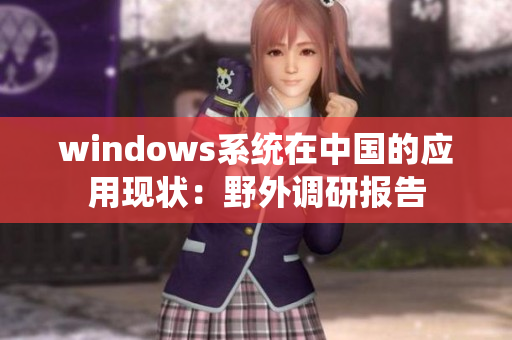 windows系统在中国的应用现状：野外调研报告
