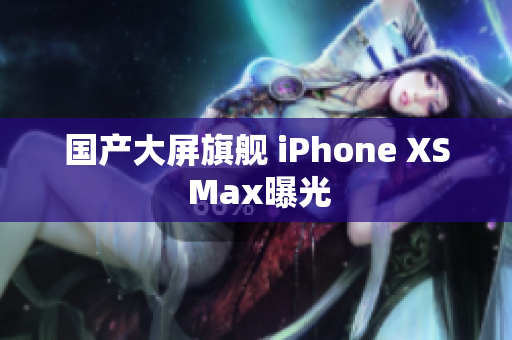 国产大屏旗舰 iPhone XS Max曝光