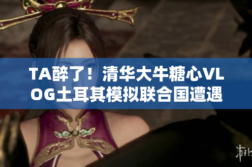 TA醉了！清华大牛糖心VLOG土耳其模拟联合国遭遇尴尬