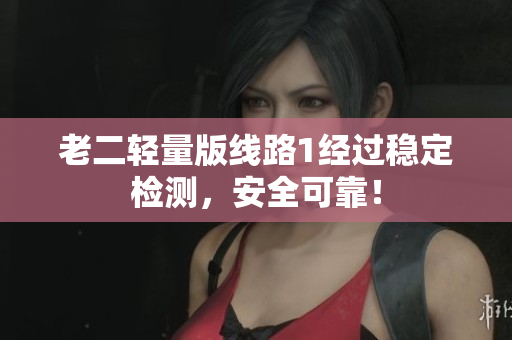 老二轻量版线路1经过稳定检测，安全可靠！