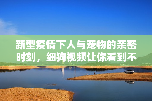 新型疫情下人与宠物的亲密时刻，细狗视频让你看到不一样的温暖
