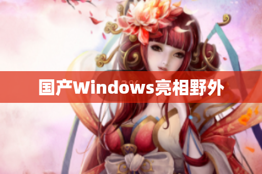 国产Windows亮相野外