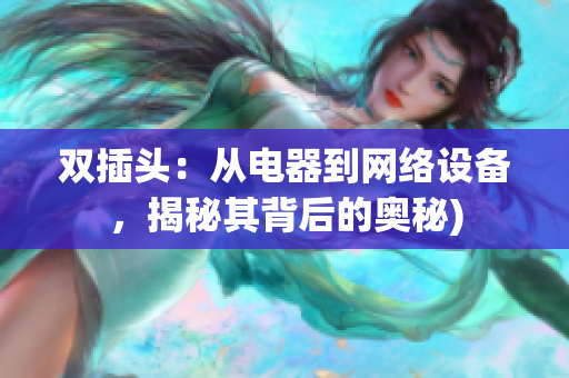双插头：从电器到网络设备，揭秘其背后的奥秘)