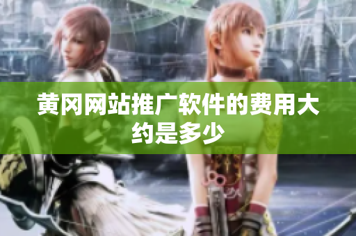 黄冈网站推广软件的费用大约是多少
