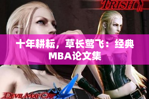 十年耕耘，草长莺飞：经典MBA论文集