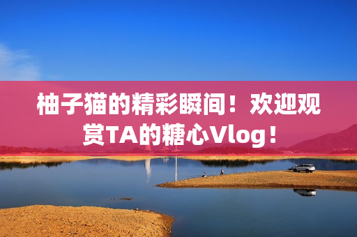 柚子猫的精彩瞬间！欢迎观赏TA的糖心Vlog！