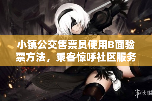 小镇公交售票员使用B面验票方法，乘客惊呼社区服务智能化