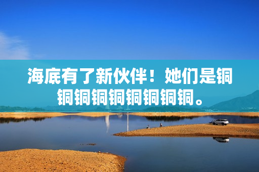 海底有了新伙伴！她们是铜铜铜铜铜铜铜铜铜。