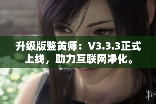 升级版鉴黄师：V3.3.3正式上线，助力互联网净化。
