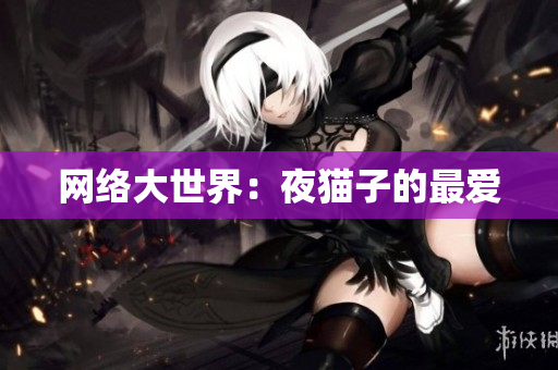 网络大世界：夜猫子的最爱