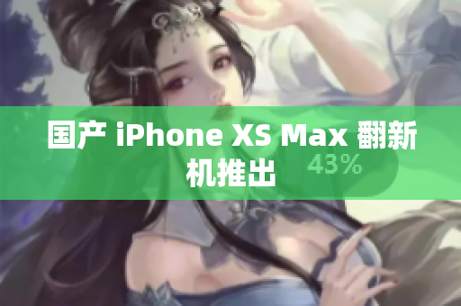 国产 iPhone XS Max 翻新机推出