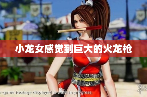 小龙女感觉到巨大的火龙枪