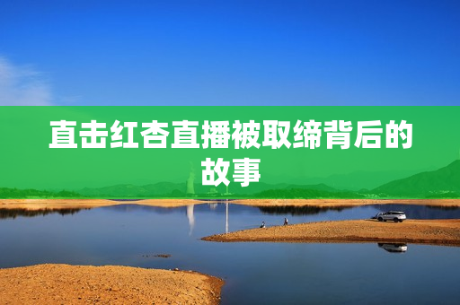 直击红杏直播被取缔背后的故事