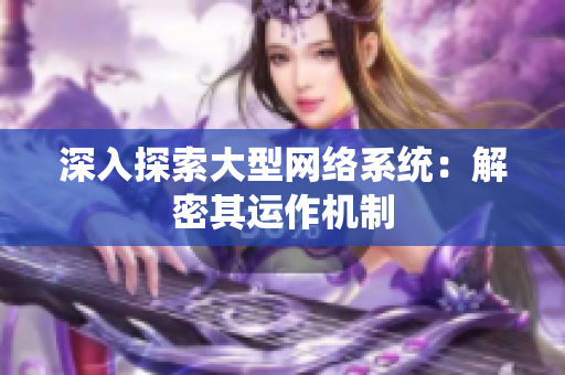 深入探索大型网络系统：解密其运作机制