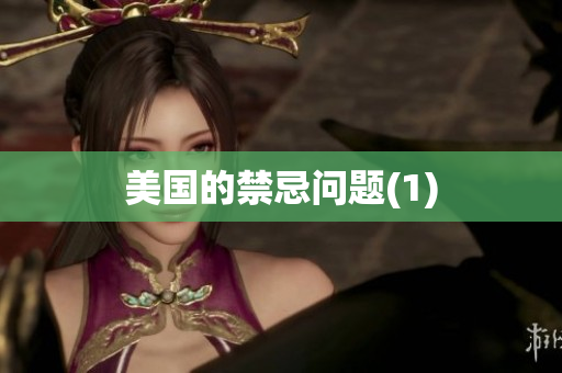 美国的禁忌问题(1)
