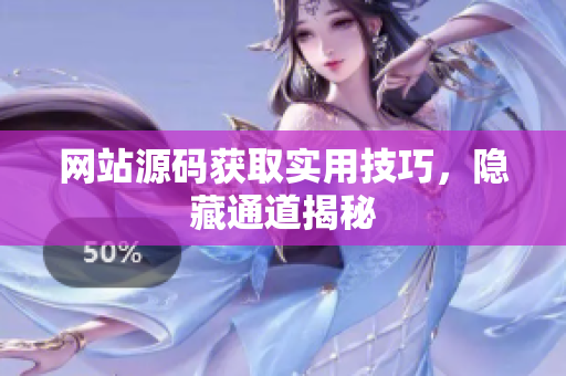 网站源码获取实用技巧，隐藏通道揭秘