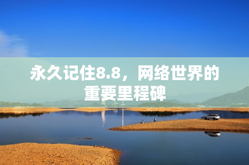永久记住8.8，网络世界的重要里程碑