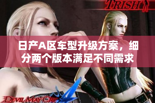 日产A区车型升级方案，细分两个版本满足不同需求