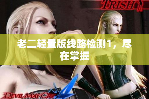 老二轻量版线路检测1，尽在掌握