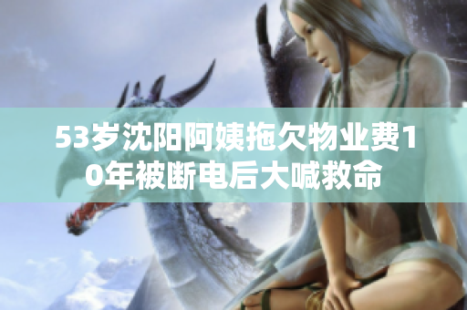 53岁沈阳阿姨拖欠物业费10年被断电后大喊救命