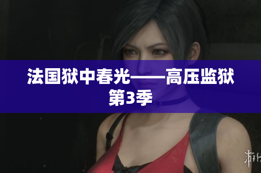 法国狱中春光——高压监狱第3季
