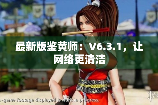 最新版鉴黄师：V6.3.1，让网络更清洁