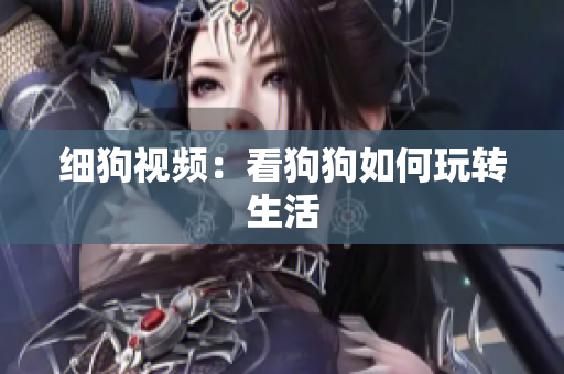 细狗视频：看狗狗如何玩转生活