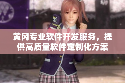 黄冈专业软件开发服务，提供高质量软件定制化方案