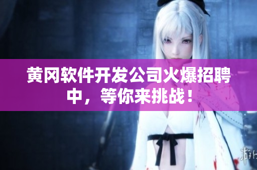 黄冈软件开发公司火爆招聘中，等你来挑战！