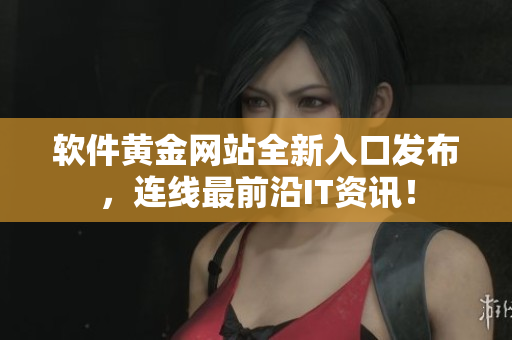 软件黄金网站全新入口发布，连线最前沿IT资讯！