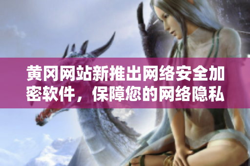 黄冈网站新推出网络安全加密软件，保障您的网络隐私安全