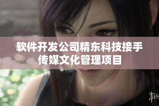软件开发公司精东科技接手传媒文化管理项目