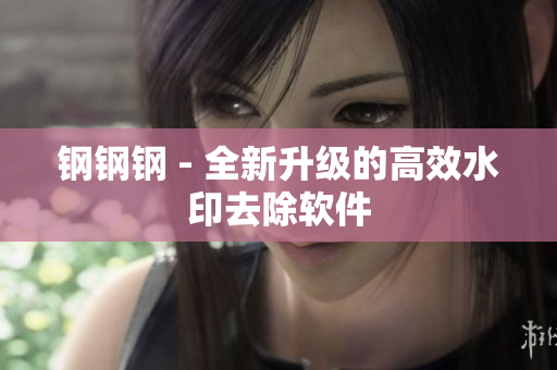 钢钢钢 - 全新升级的高效水印去除软件