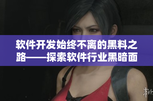 软件开发始终不离的黑料之路——探索软件行业黑暗面