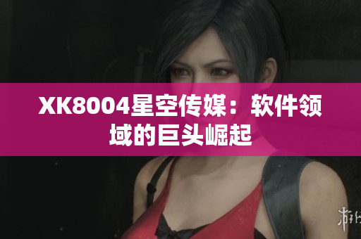 XK8004星空传媒：软件领域的巨头崛起