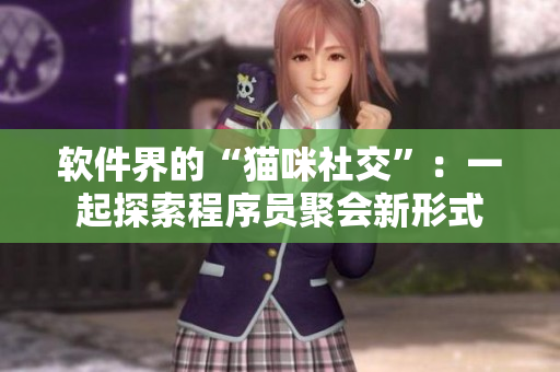 软件界的“猫咪社交”：一起探索程序员聚会新形式