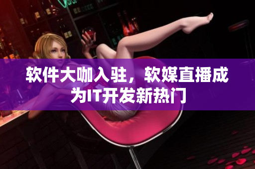 软件大咖入驻，软媒直播成为IT开发新热门