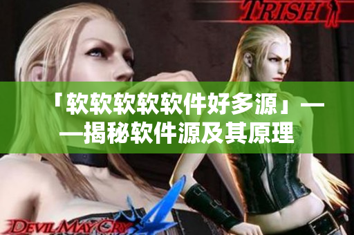 「软软软软软件好多源」——揭秘软件源及其原理