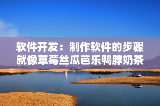 软件开发：制作软件的步骤就像草莓丝瓜芭乐鸭脖奶茶的制作一样！