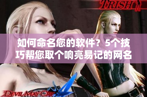 如何命名您的软件？5个技巧帮您取个响亮易记的网名！