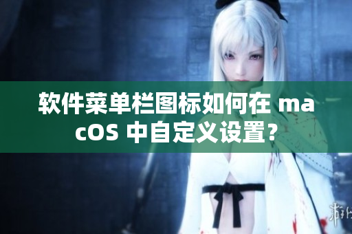 软件菜单栏图标如何在 macOS 中自定义设置？